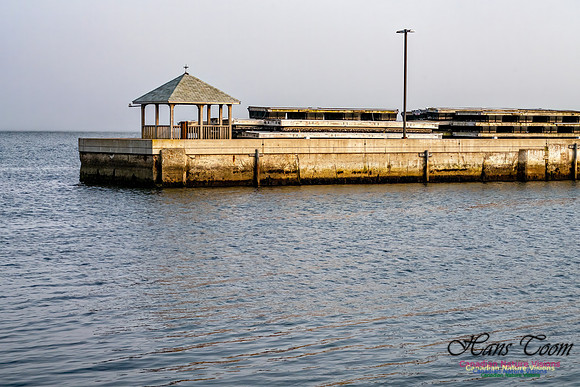 Newfoundland 119