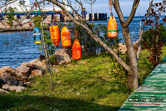 Nova Scotia Scenes 108