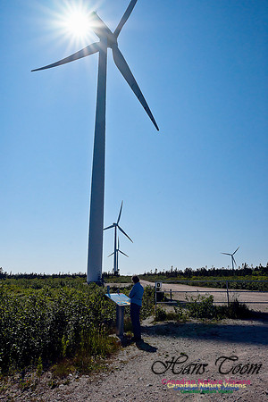 Turbines