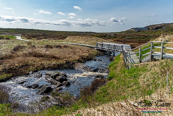 Twillingate 110