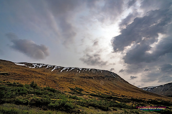 Newfoundland 106