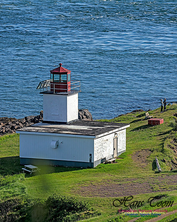 Cape d'Or  Light 102