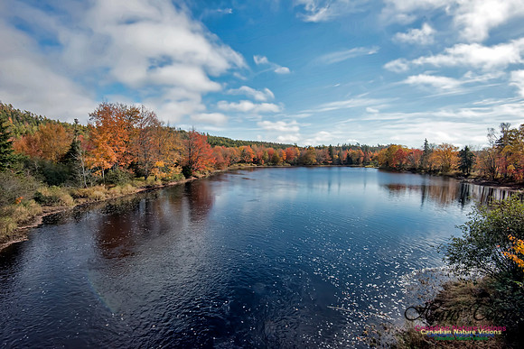 Oakfield Provincial Park