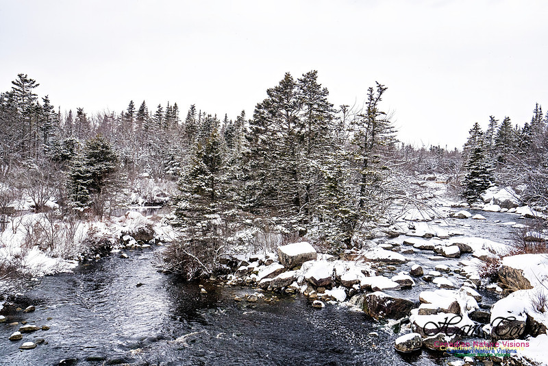 Some Winter Scenes 125 copy