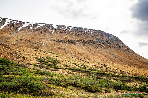 Newfoundland 107
