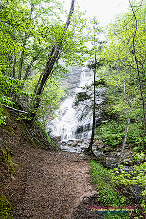 Cape Breton Highlands