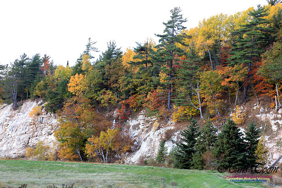 FallColours2016-1008