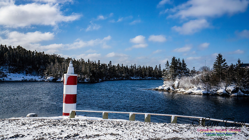 Nova Scotia Winter 314