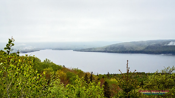 Nova Scotia Scenes 117