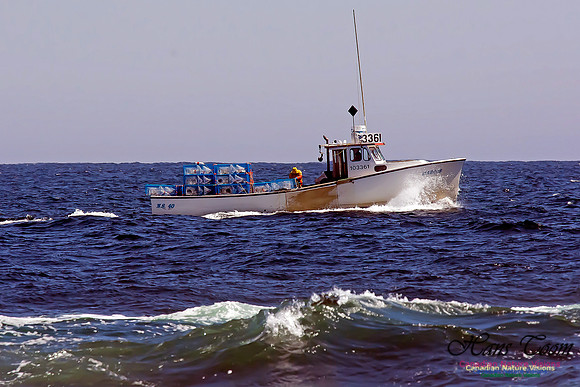 Duncan Reef Lobster Boat