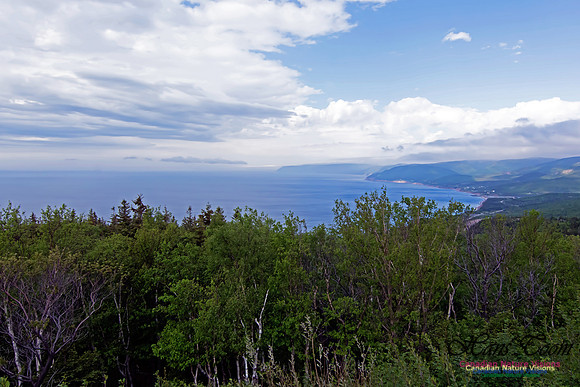 Cape Breton Highlands