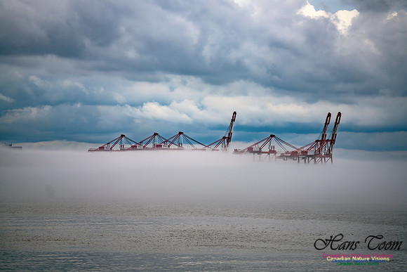 Harbour Cranes in Fog 101