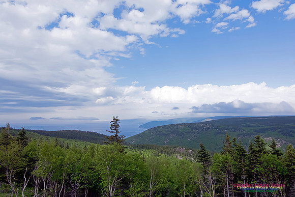 Cape Breton Highlands