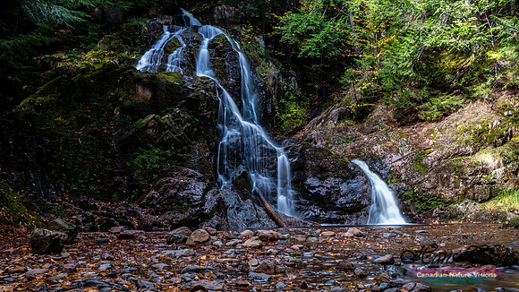 Wentworth Falls Trip 110