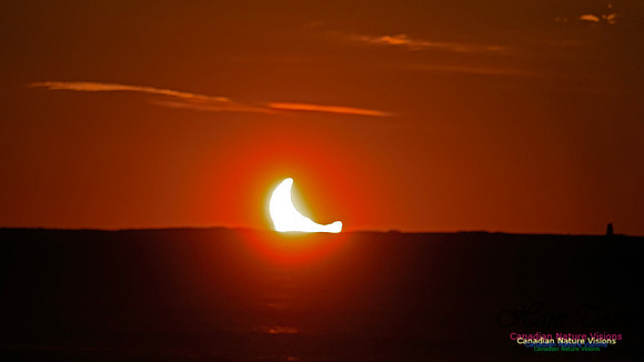 Eclipse 100