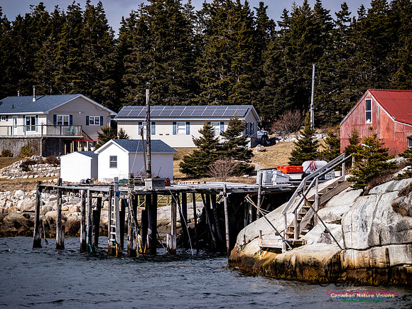 Coastal Tour 110
