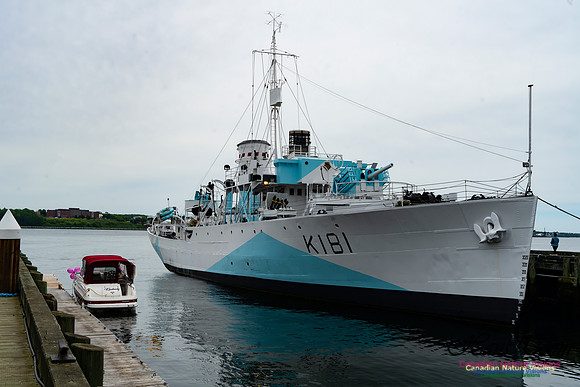 Halifax Waterfront Stroll 134