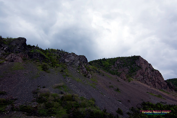 Cape Breton Highlands