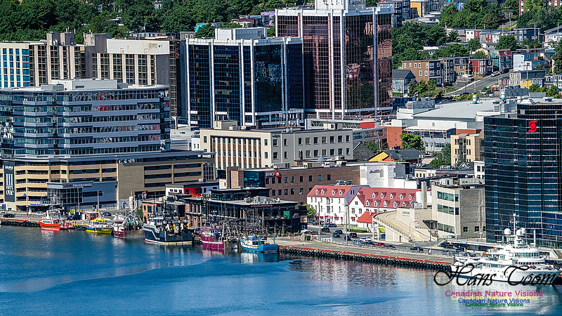 St. John's, Newfoundland 109