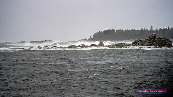 Nova Scotia Gale 2024-09-07 187