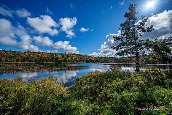 Sambro Loop 129