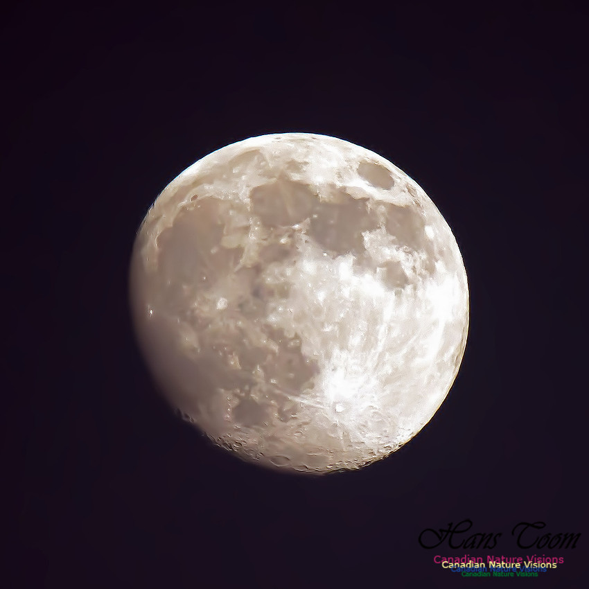 Gross Morne Moonrise