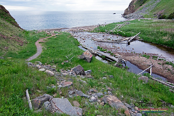 Cape Breton Highlands
