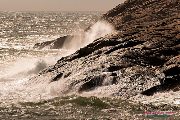 Eastern Head Gale