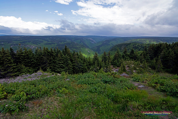 Cape Breton Highlands