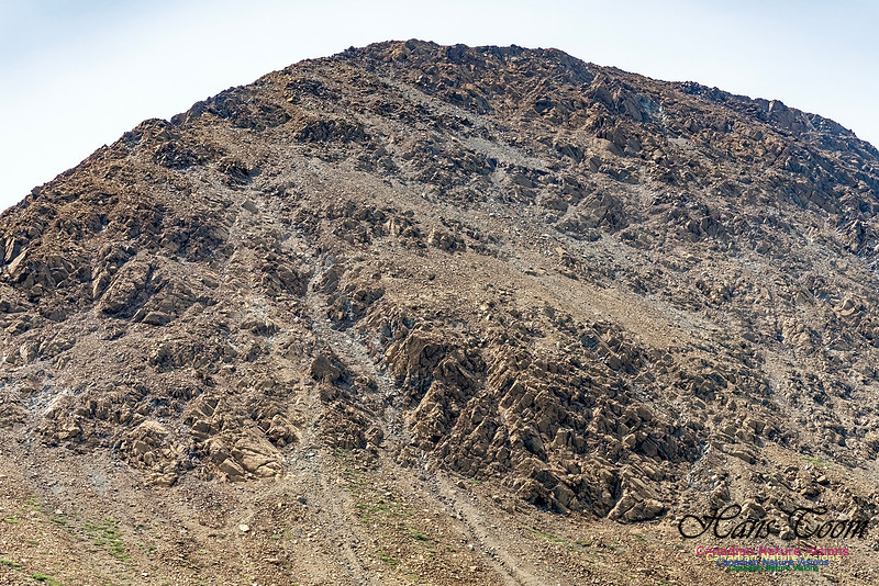 Table Mountains 132