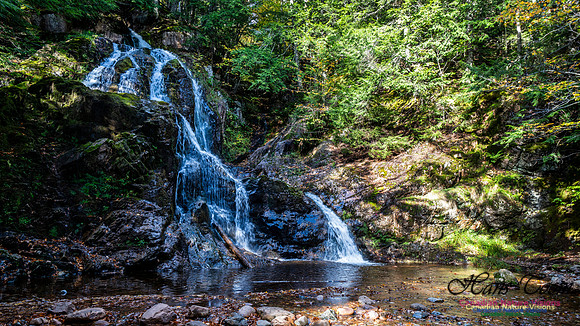 Wentworth Falls Trip 112