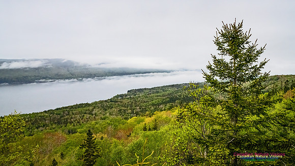 Nova Scotia Scenes 118