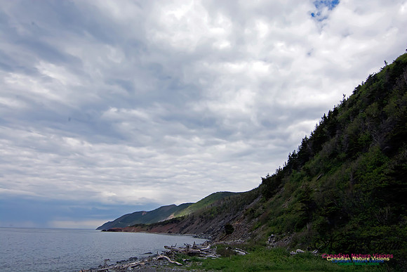 Cape Breton Highlands