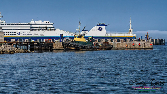 Nova Scotia Scenes 109
