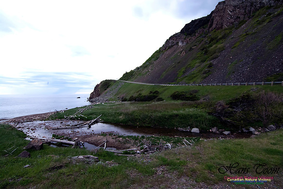 Cape Breton Highlands