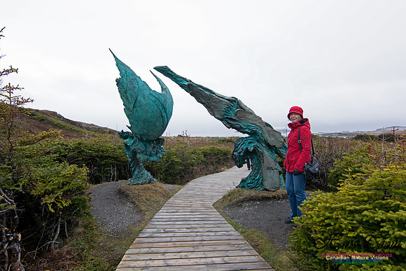 NFLDay4-124