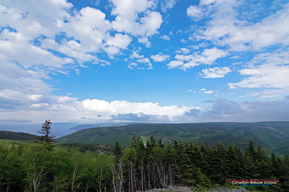 Cape Breton Highlands