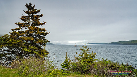 Nova Scotia Scenes 116