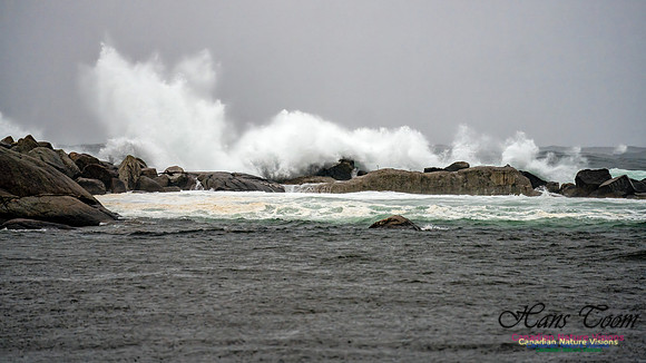 Nova Scotia Gale 2024-09-07 190
