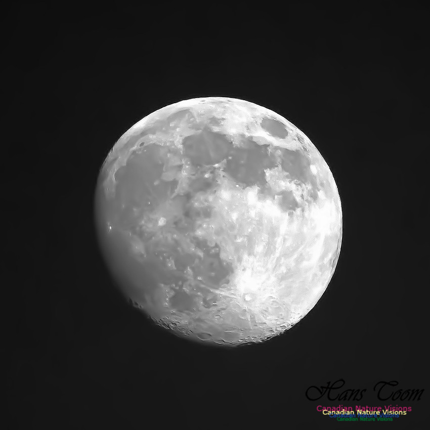 Gross Morne Moonrise