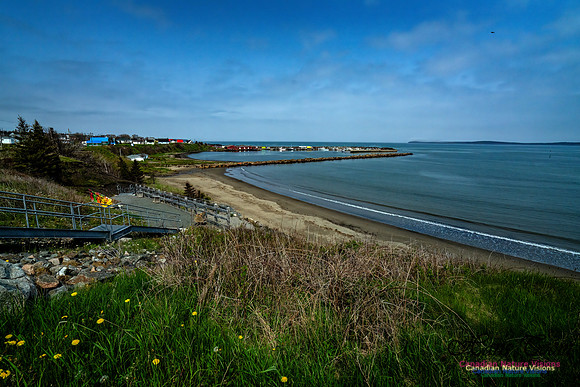 Nova Scotia Scenes 114