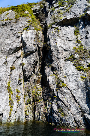Western Brook Pond 122