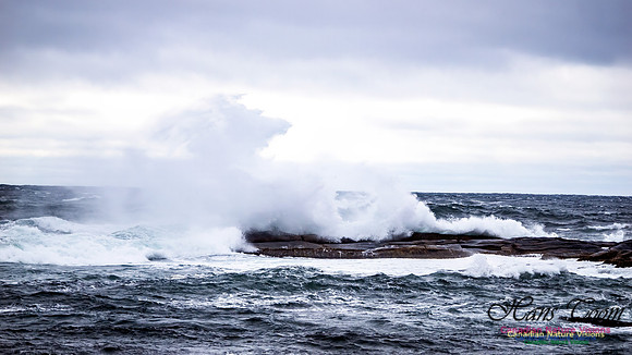 November Gale 1 105