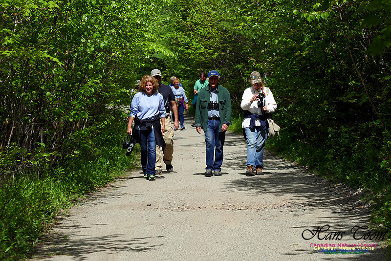 Warbler Walk June 5, 2016