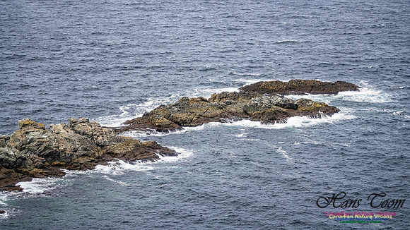Twillingate 129