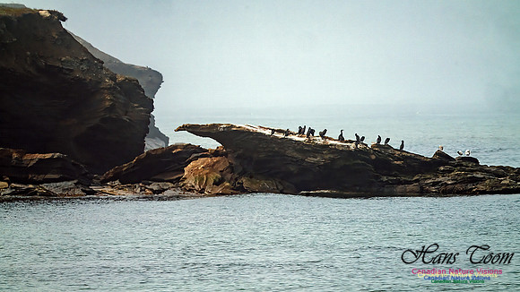 Nova Scotia Scenes 113
