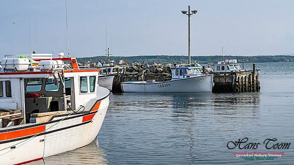 Nova Scotia Scenes 111