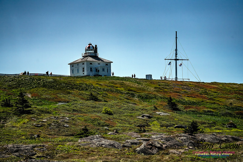 St. John's, Newfoundland 133