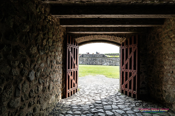Fortress of Louisbourg 137