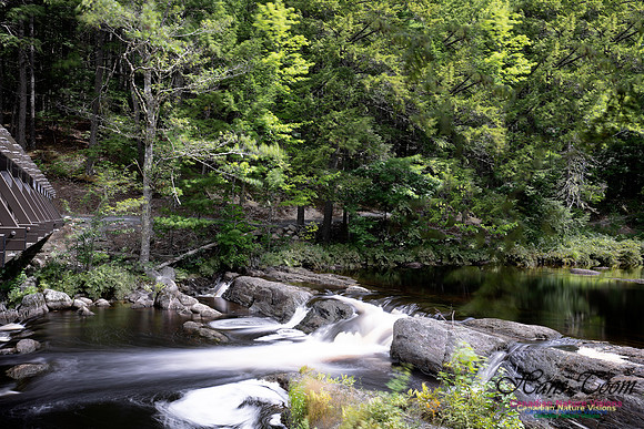Living Water 113